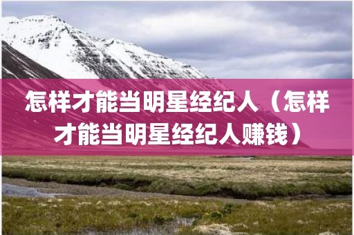 怎样才能当明星经纪人（怎样才能当明星经纪人赚钱）