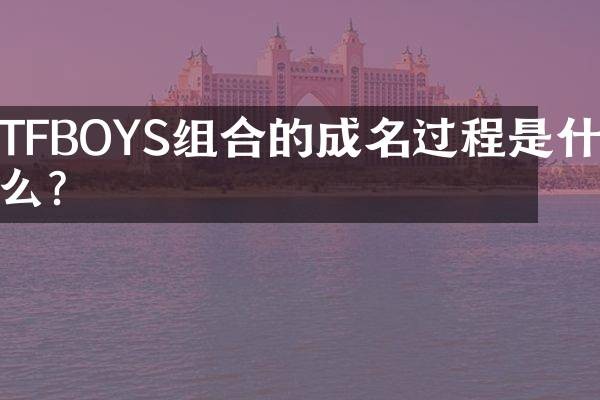 TFBOYS组合的成名过程是什么？