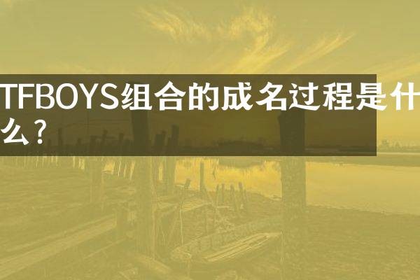 TFBOYS组合的成名过程是什么？
