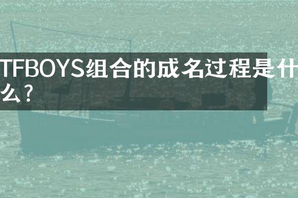 TFBOYS组合的成名过程是什么？