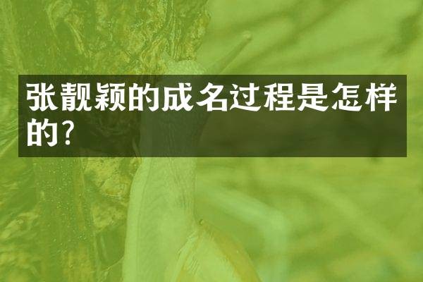 张靓颖的成名过程是怎样的?