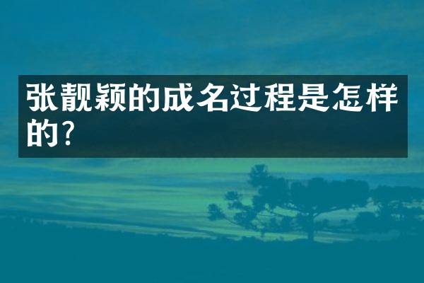 张靓颖的成名过程是怎样的?