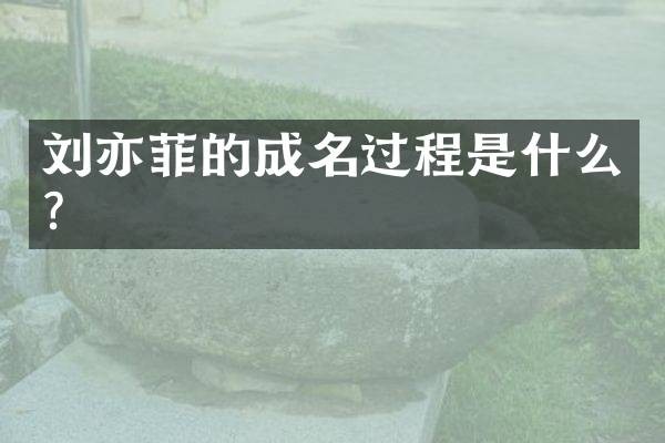 刘亦菲的成名过程是什么?