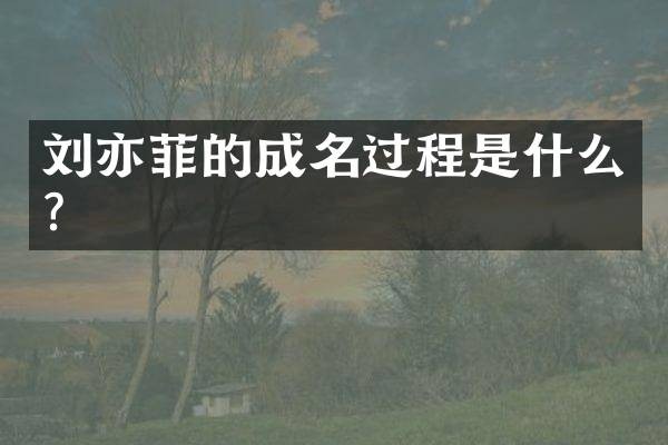 刘亦菲的成名过程是什么?