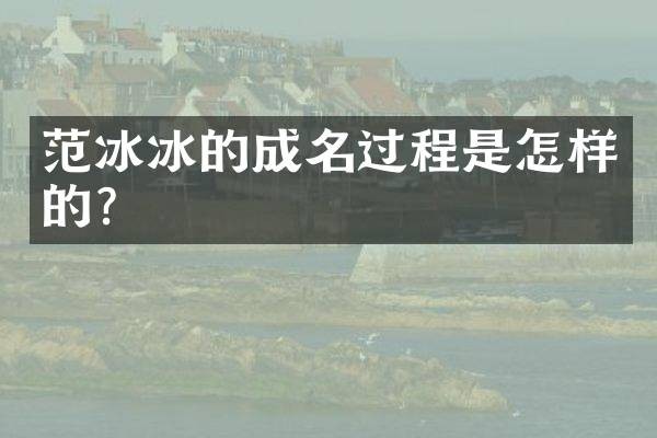 的成名过程是怎样的?