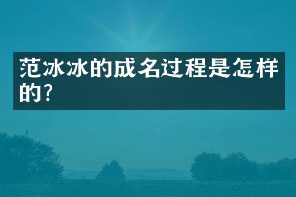 的成名过程是怎样的?
