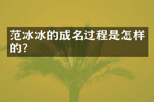 的成名过程是怎样的?