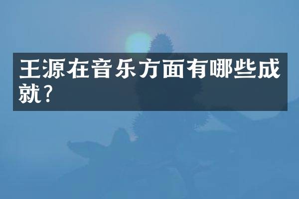王源在音乐方面有哪些成就？