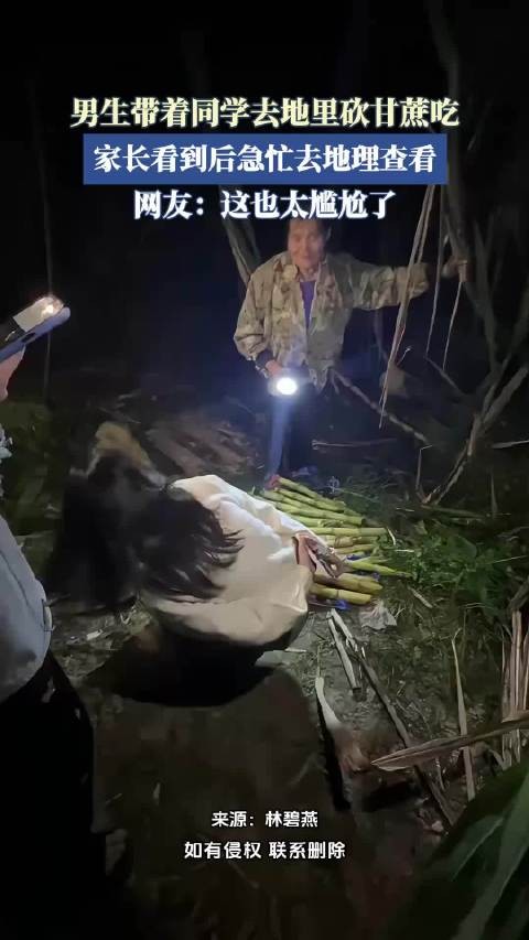 男生带着同学去地里砍甘蔗吃,家长看到后急忙去地理查看 !