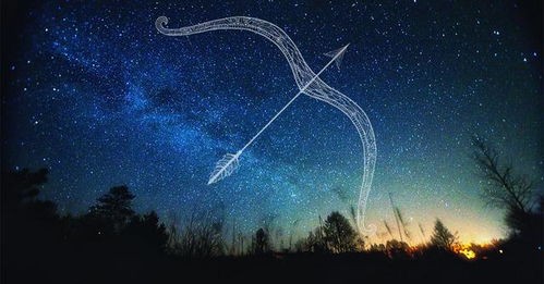 射手白羊的明星配对(射手白羊的明星夫妇)