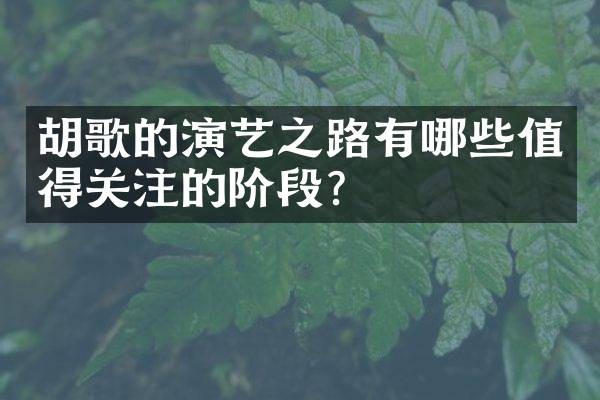 胡歌的演艺之路有哪些值得关注的阶段？