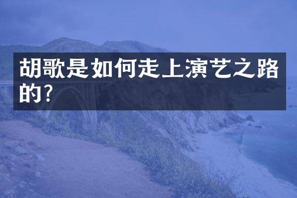 胡歌是如何走上演艺之路的？