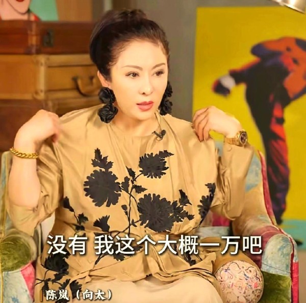 向太的消费观：从万元衣到奢华生活的转变