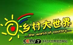 乡村大世界 2011年 第17期