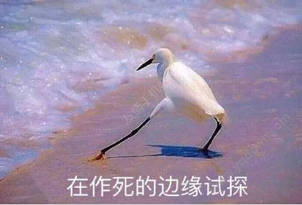 名字“倒过来念”的读音竟一模一样，这些明星的名字厉害了！