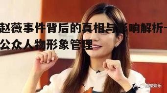 五、赵薇事件对娱乐圈的启示