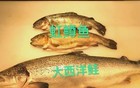 淡水虹鳟，彻底毁掉了“三文鱼”这一优质食品