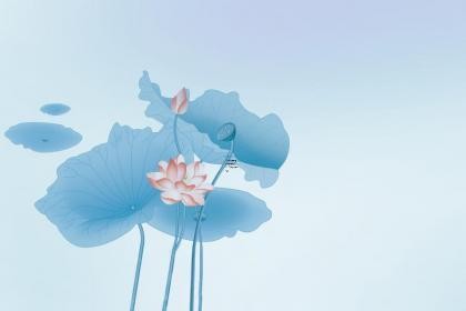 2025年火年流行颜色及国际流行色趋势分析 2025年服装流行色是什么