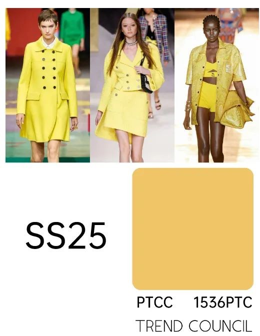 流行色彩——2025年春夏流行色彩趋势：菠萝黄