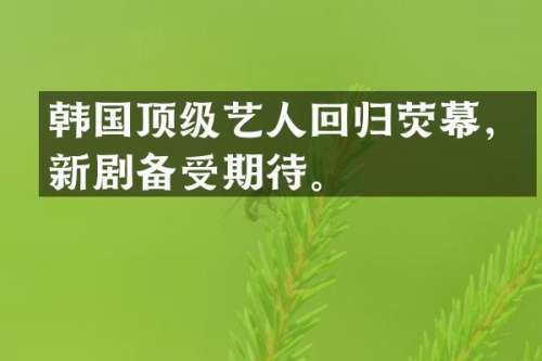 韩国顶级艺人回归荧幕，新剧备受期待。