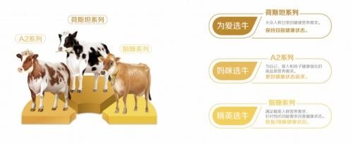  蒙牛旗下子品牌，「三只小牛」携手“谷爱凌”掀起数字化营销增长热潮！