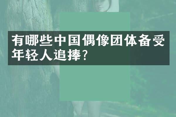 有哪些中国偶像团体备受年轻人追捧？