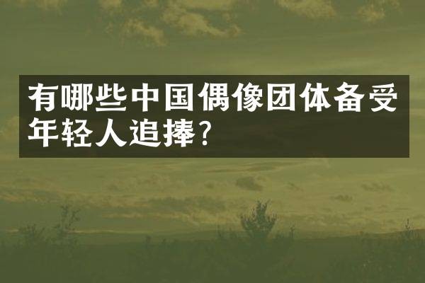 有哪些中国偶像团体备受年轻人追捧？