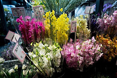 猎奇吃瓜网爆黑料|网络猎奇事件引发热议:明星隐私与网络舆论的边界挑战-4