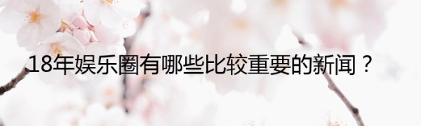 18年娱乐圈有哪些比较重要的新闻？