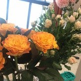 流量明星+大ip=烂剧