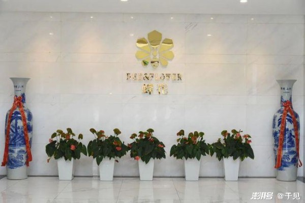 “蜂花”在青少年群体中寂寂无名，品牌年轻化成最大拦路虎