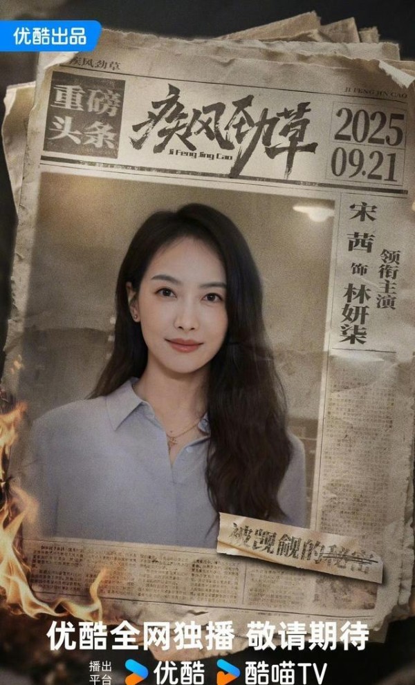 杨紫肖战何炅等明星最新动态深度解析与背后故事揭秘