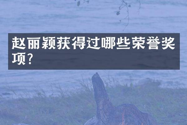 赵丽颖获得过哪些荣誉奖项？