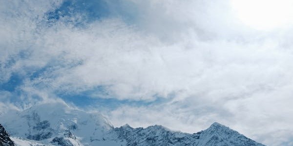 新人明星人气排行榜