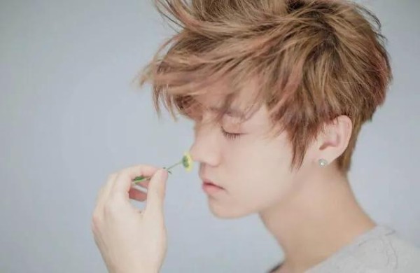 明星到底能赚多少钱，高片酬能拿到手究竟有多少