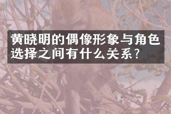 黄晓明的偶像形象与角色选择之间有什么关系？