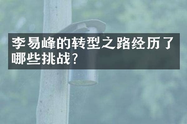 李易峰的转型之路经历了哪些挑战？