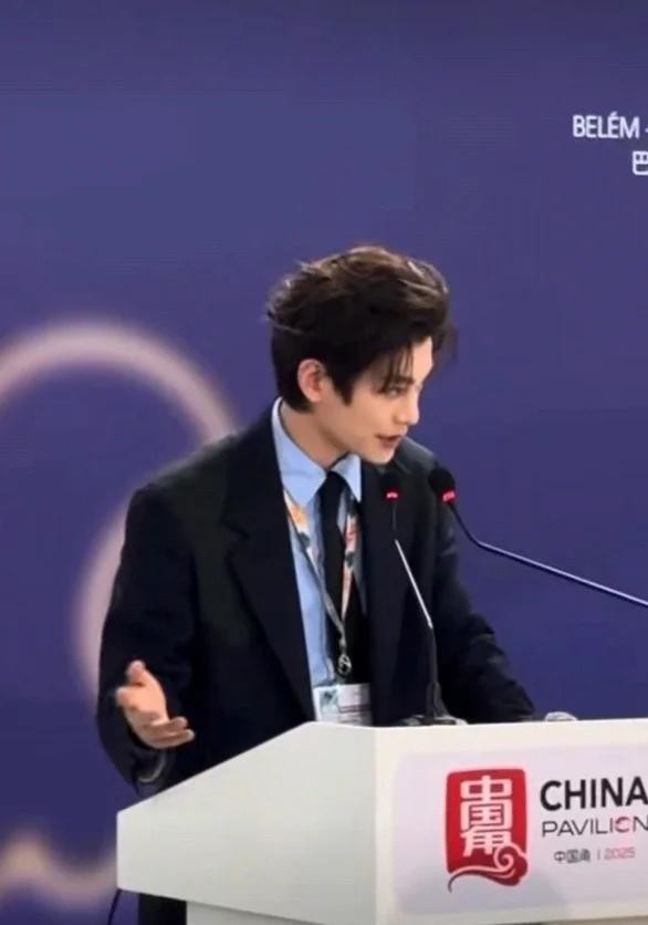 丁禹兮中英文宣传环保 低调亮相显专业态度