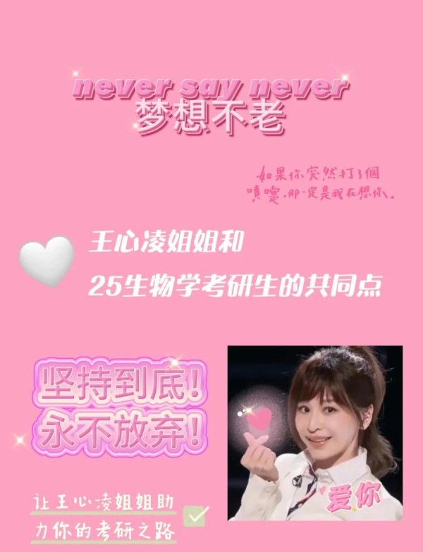 考研人必看：王心凌的励志故事