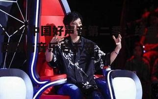 2013中国好声音第二季：经典回顾与音乐启示录