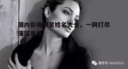 五、好莱坞影视明星的辉煌