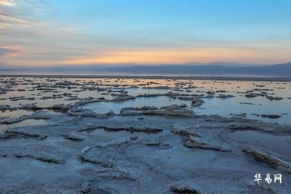 紫微命盘各星详解,掌握紫微斗数专业知识