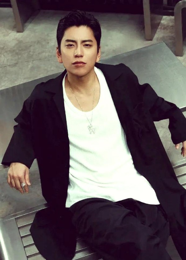 明星们的职业路径与个人挑战