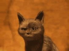 明星演唱会尬照：张柏芝大面积走光，刘德华开裆李玟造型像人妖