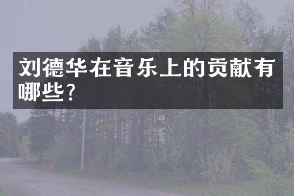 刘德华在音乐上的贡献有哪些？
