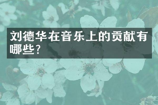 刘德华在音乐上的贡献有哪些？