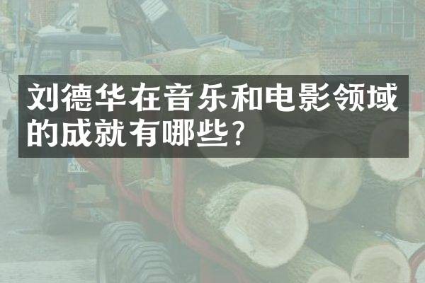 刘德华在音乐和电影领域的成就有哪些？