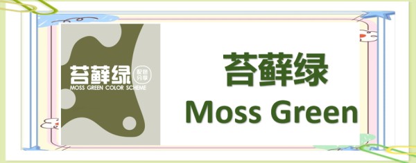 2024秋冬流行色大揭秘，时髦精必看的穿搭指南