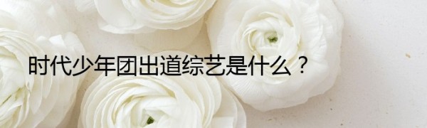 时代少年团出道综艺是什么？