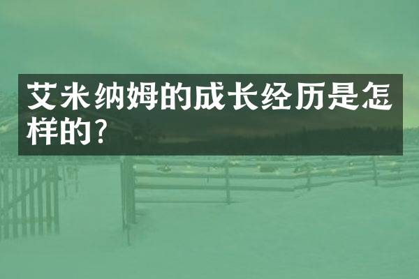 艾米纳姆的成长经历是怎样的？